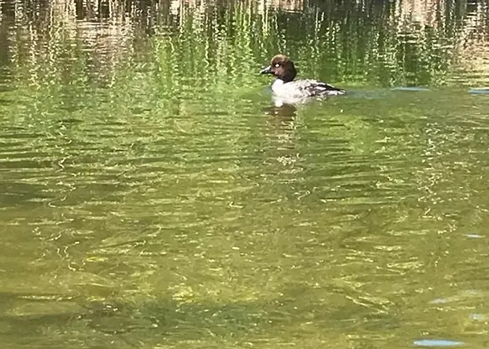 Appartement Moja Ostoja & Kajaki - Splywy Kajakowe Rzeka Krutynia